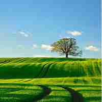 快‍速‌Prompt工‌程﻿教​程‍